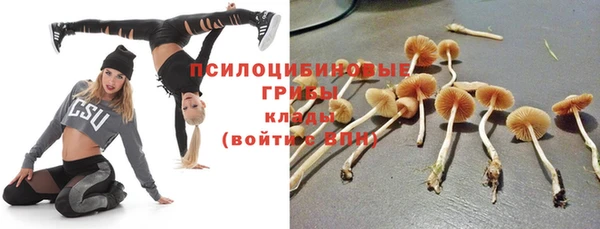 винт Беломорск