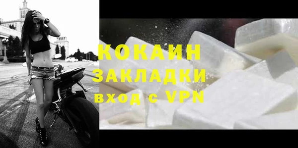 шишки Богородск